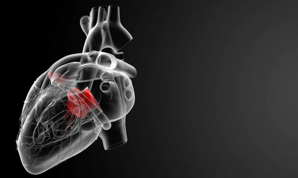 impotencia y salud cardiovascular