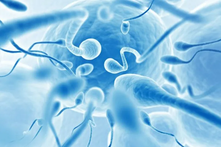bajo conteneo de spermatozoides
