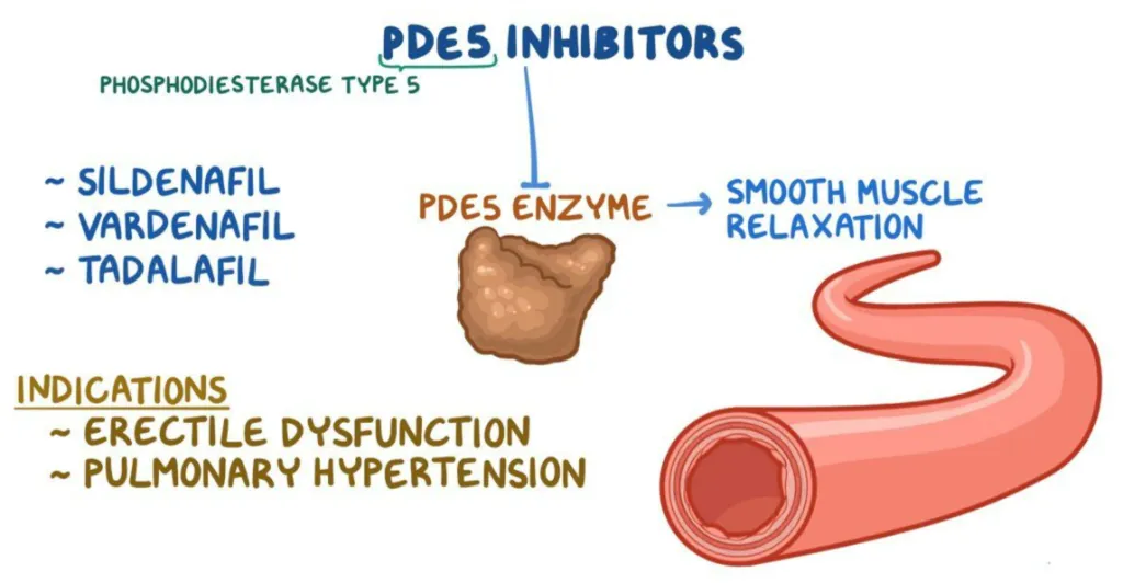 inhibidores de la fosfodiesterasa-5